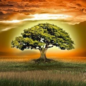 НУЖНО ЛИ  «ЧИСТИТЬ» СВОЙ РОД? 